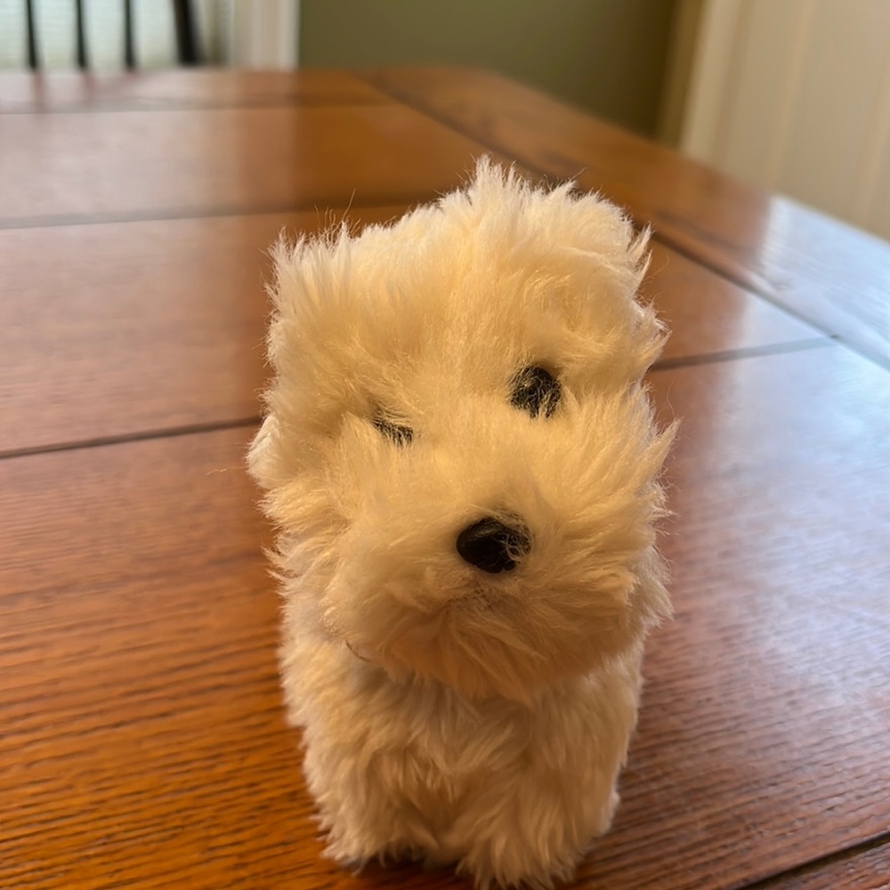 American Girl Dog Coconut